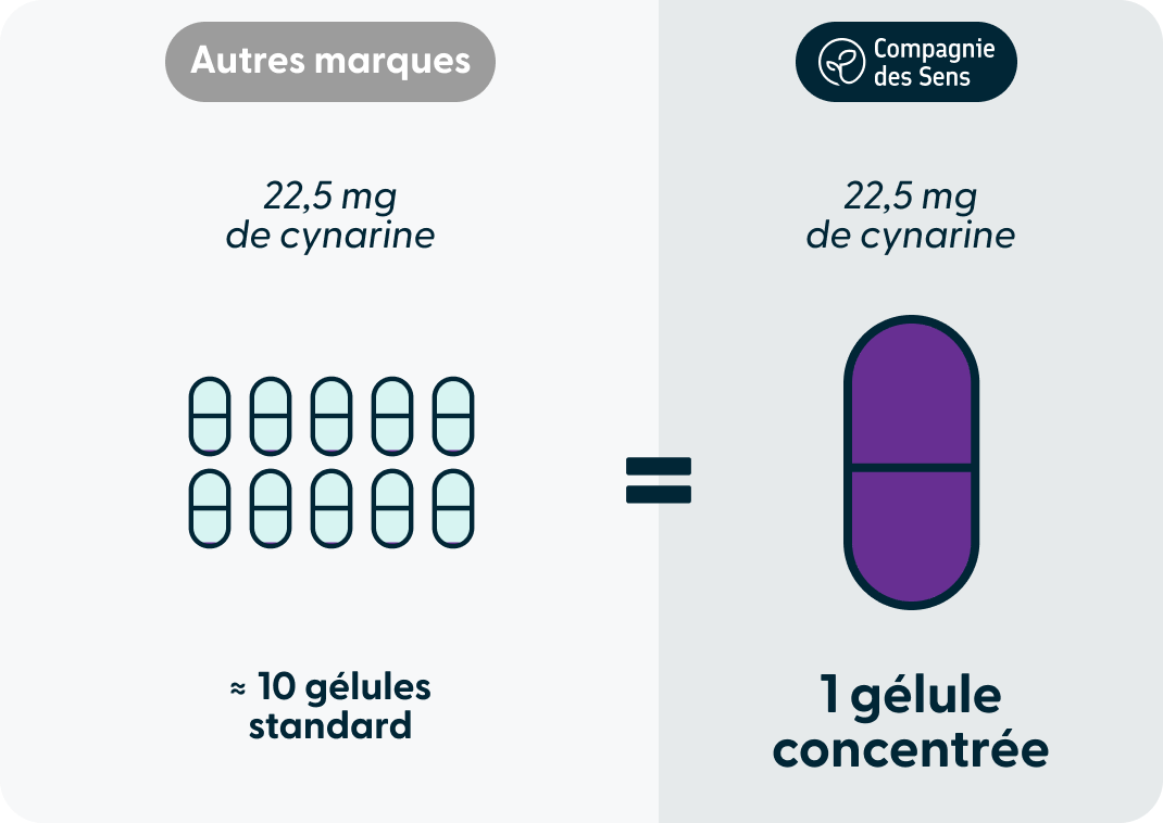 Dosage cynarine artichaut